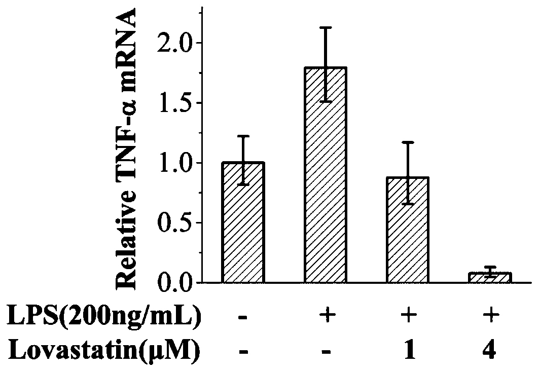 Application of lovastatin to preparing microglial cell activation inhibitors