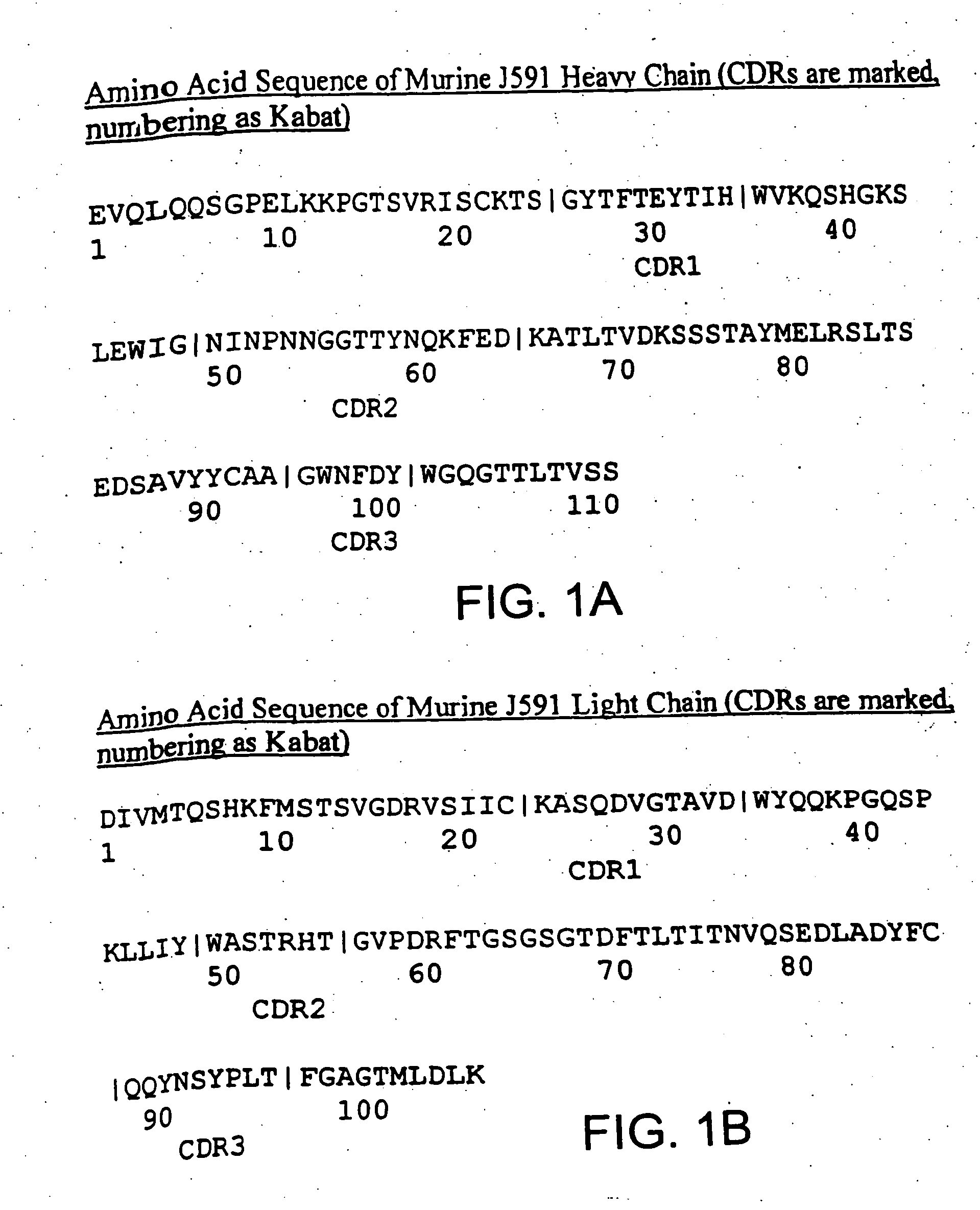 Modified antibodies to prostate-specific membrane antigen and uses thereof