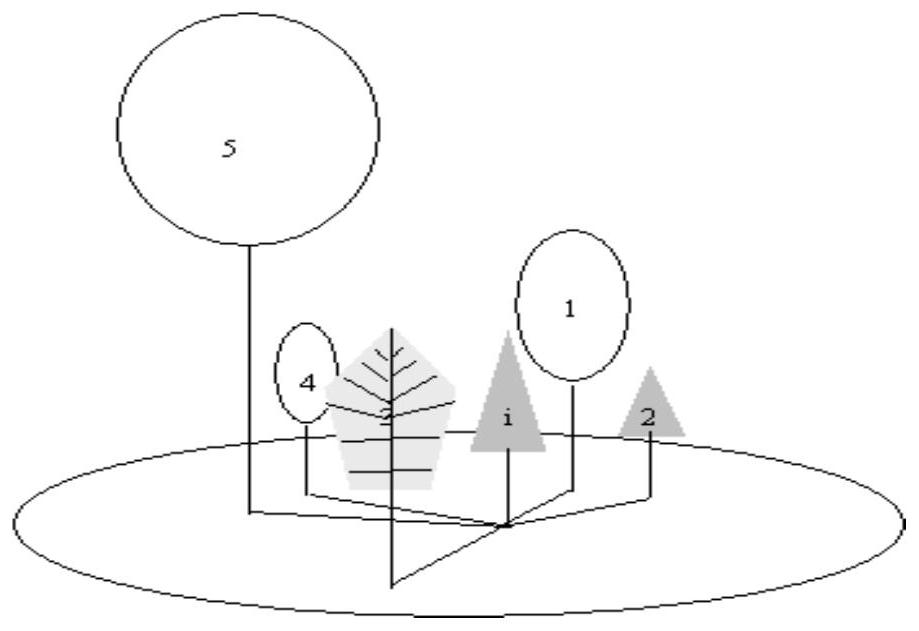 A Measurement Method of Stand Structure Diversity Based on Neighboring Tree Relationship