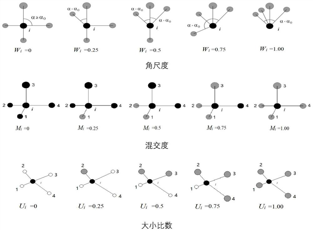 A Measurement Method of Stand Structure Diversity Based on Neighboring Tree Relationship