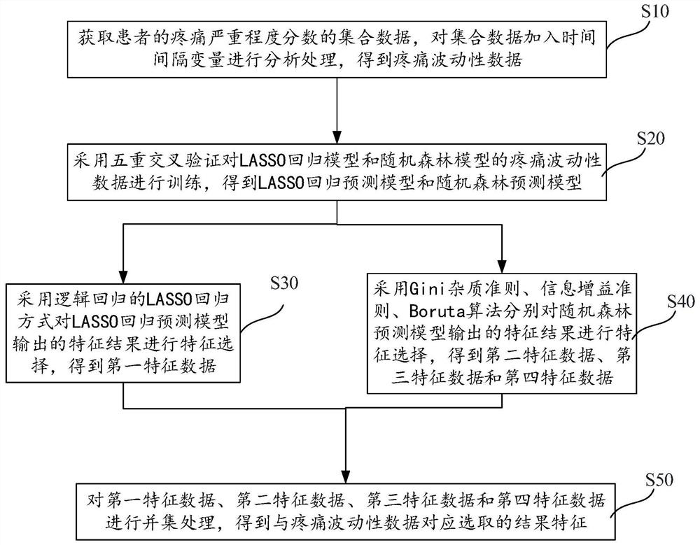 Pain fluctuation feature selection method and device, storage medium and equipment