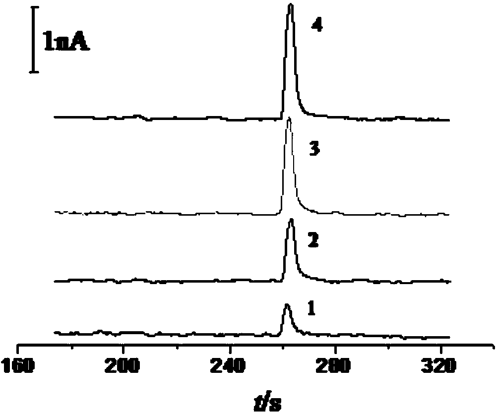 Glutathione sensor, preparation method thereof and application thereof in capillary electrophoresis amperometric detection