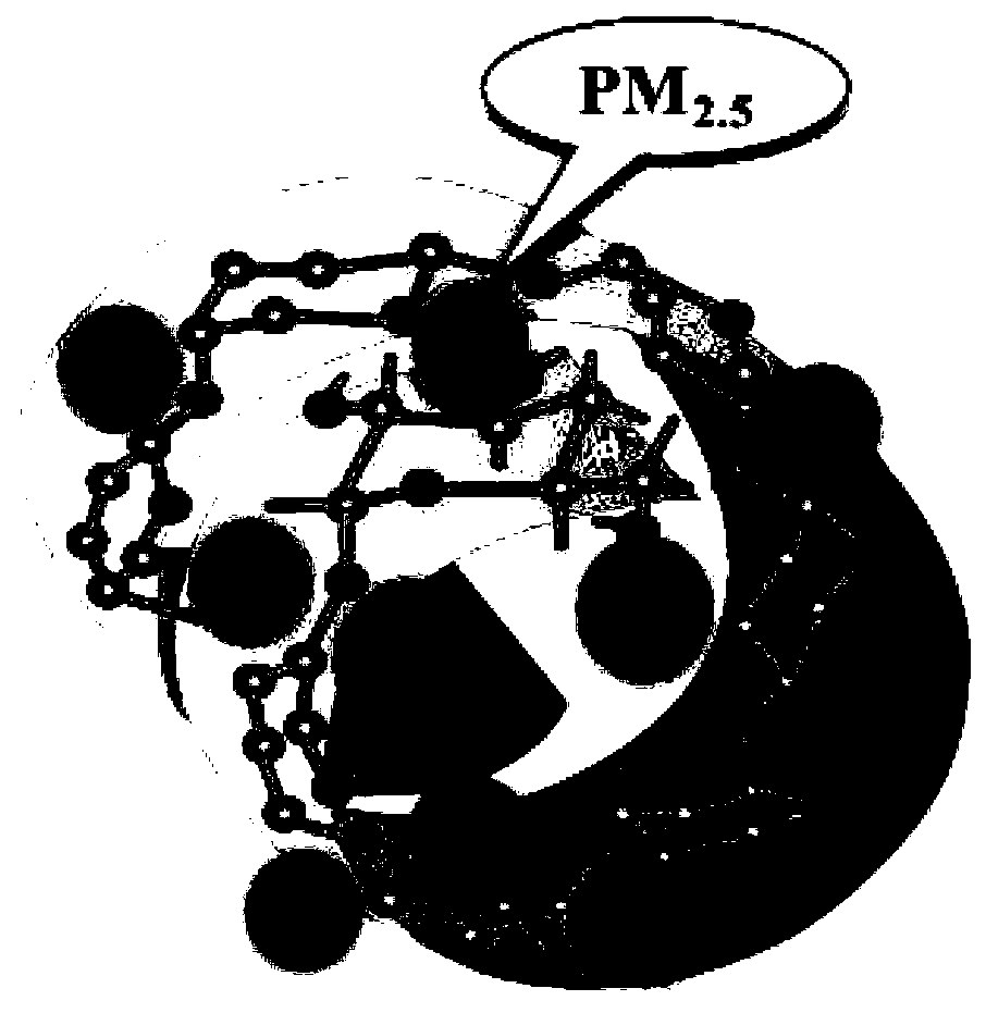 Application of macromolecular polysaccharide in removing inhalable particles in respiratory tracts