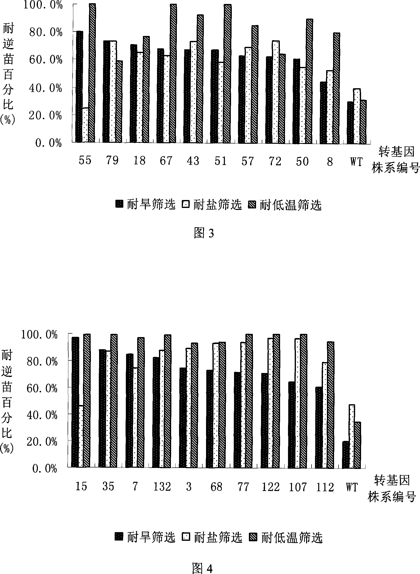 Rice HAP3 and application of the same in improving stress tolerance of plants