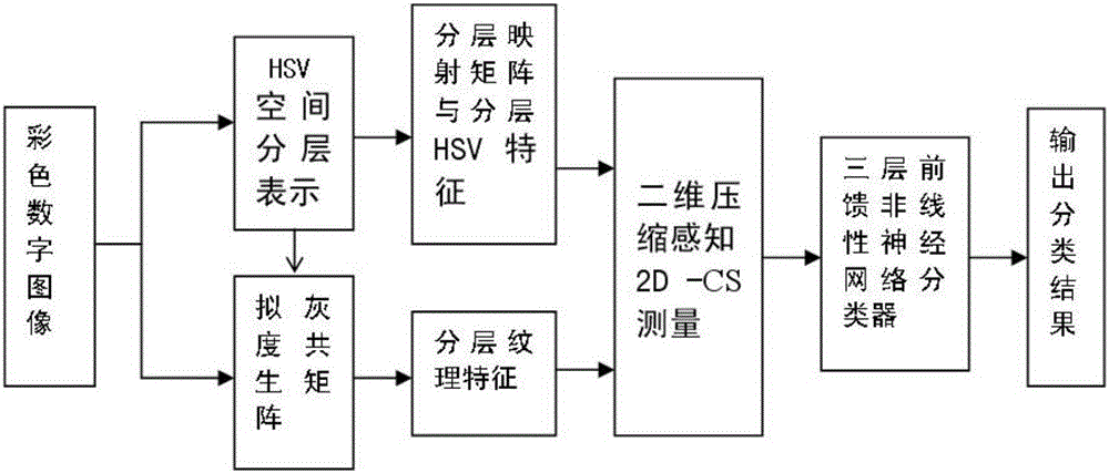 Low embedding rate compressive sensing universal steganalysis method for color image