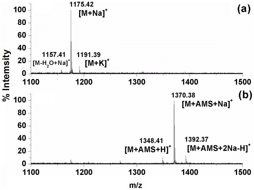 Method for N-carbohydrate chain solid phase enrichment and mass spectrometry
