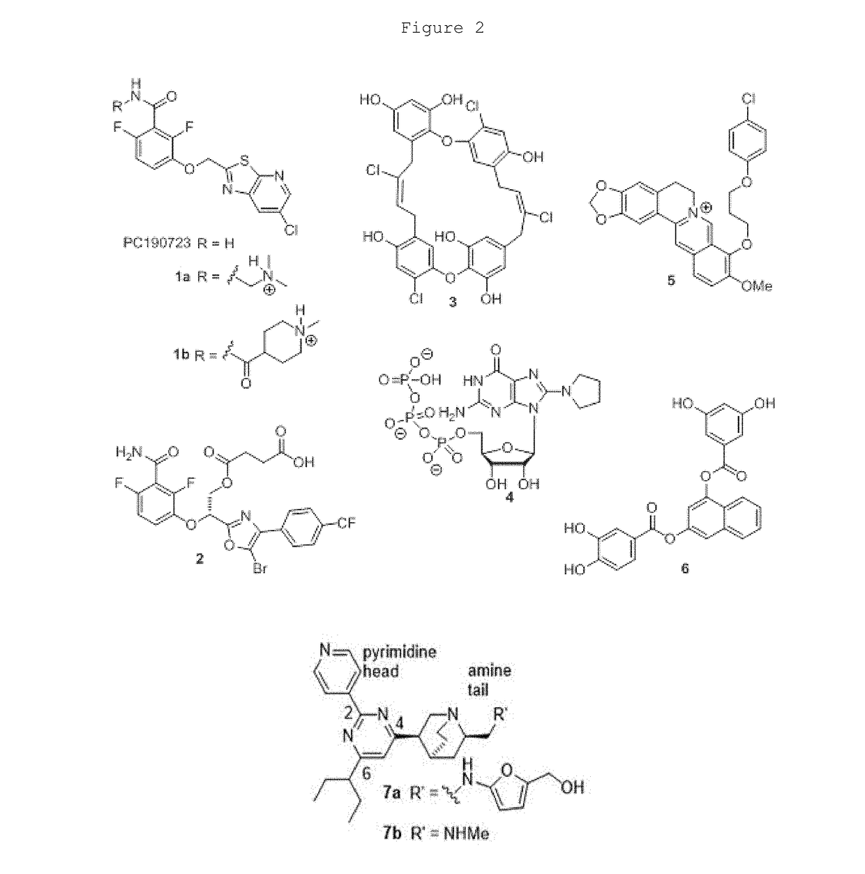 Pyrimidines for treatment of bacterial infections