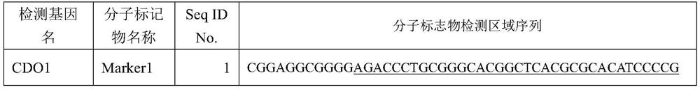 Methylated molecular marker for detecting benign and malignant pulmonary nodules or combination and application thereof