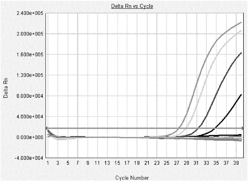 Detection method of BK virus as well as kit and application thereof