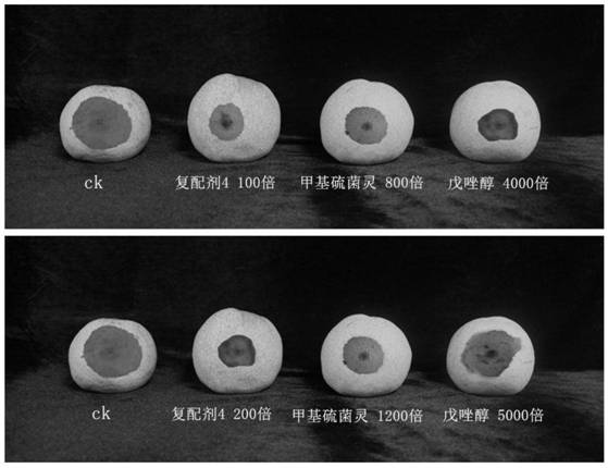 Fresh keeping agent for preventing and treating pear anthracnose and pear ring spot and application of fresh keeping agent