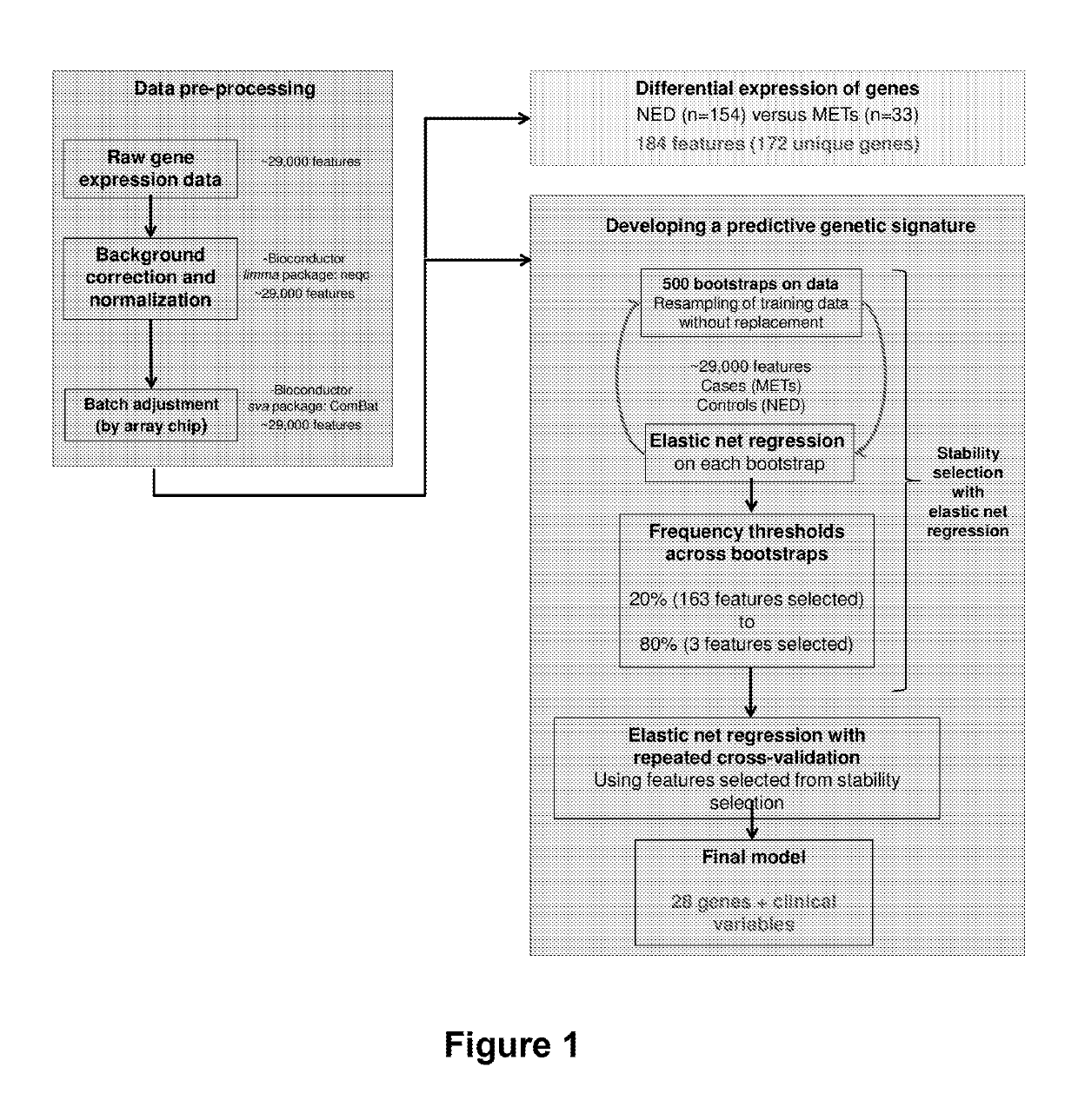 Gene expression panel for prognosis of prostate cancer recurrence