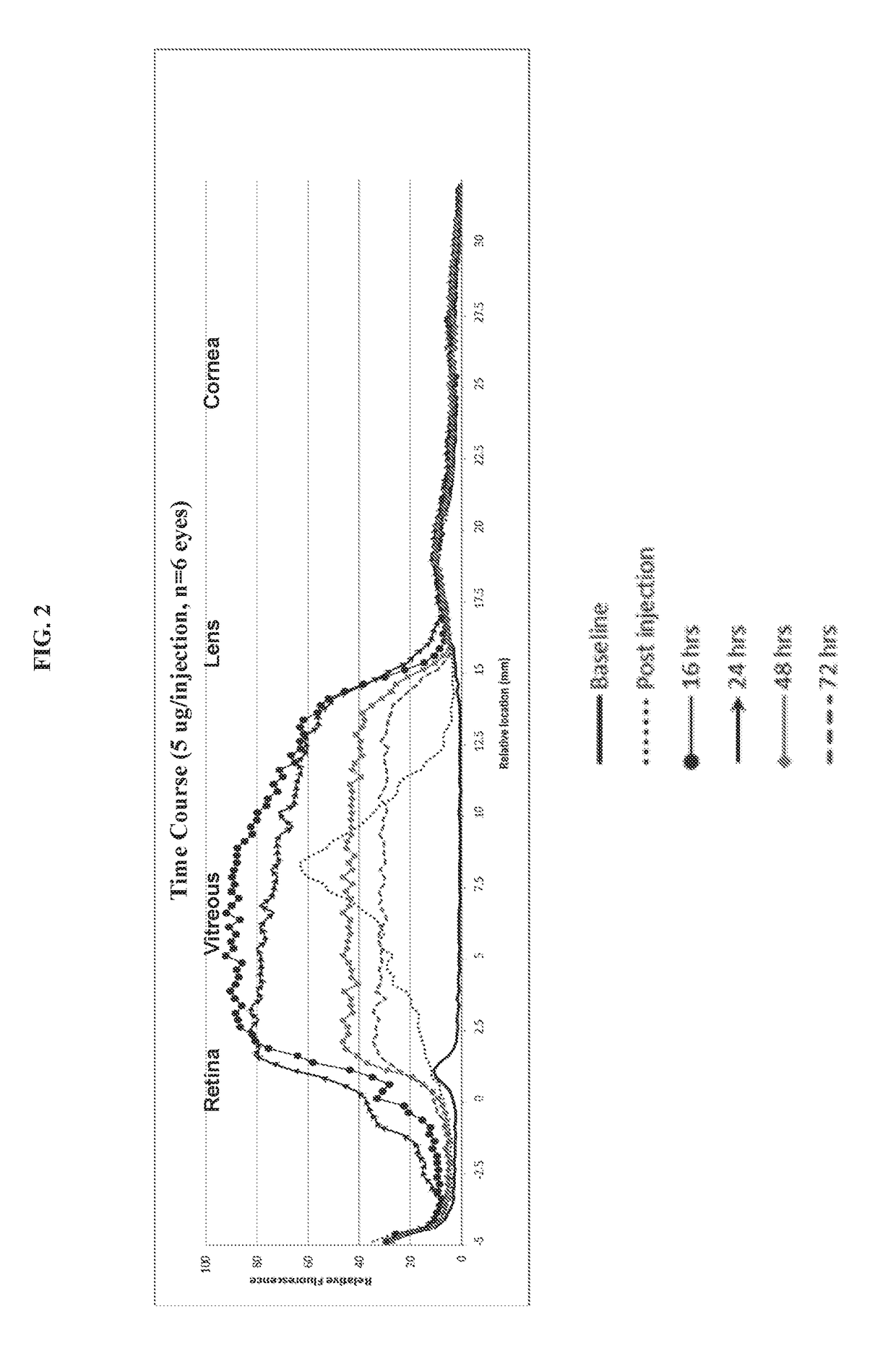 Compositions and methods for visualization of the vitreous