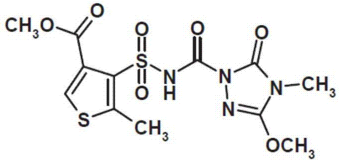 Weeding composition containing thiencarbazone-methyl and pinoxaden