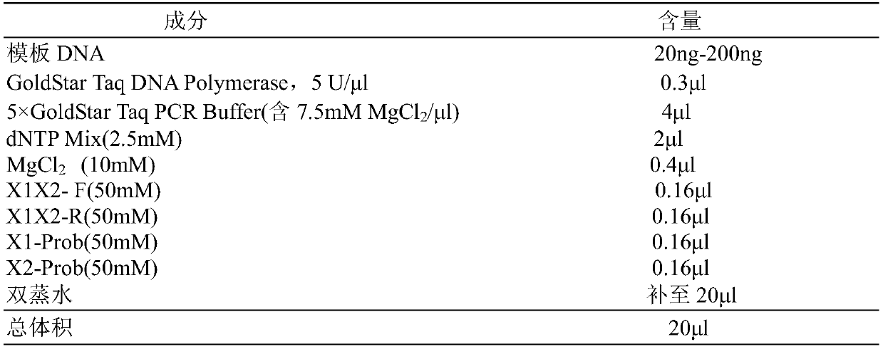 Kit for quickly detecting copy number of alpha-hemoglobin X segment