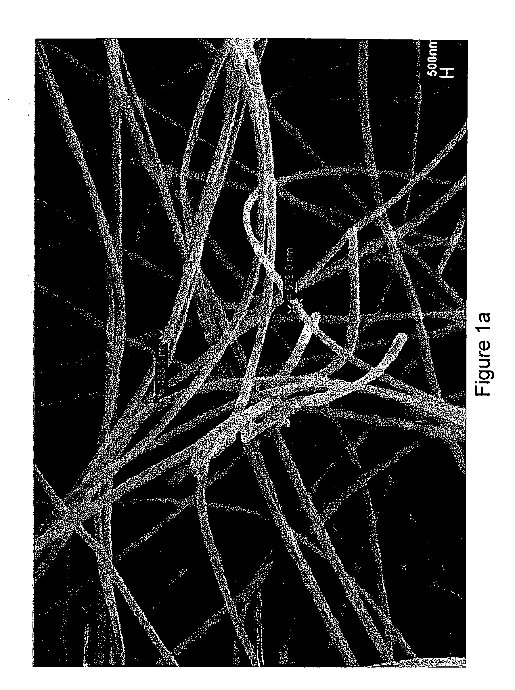 Fibers and methods relating thereto