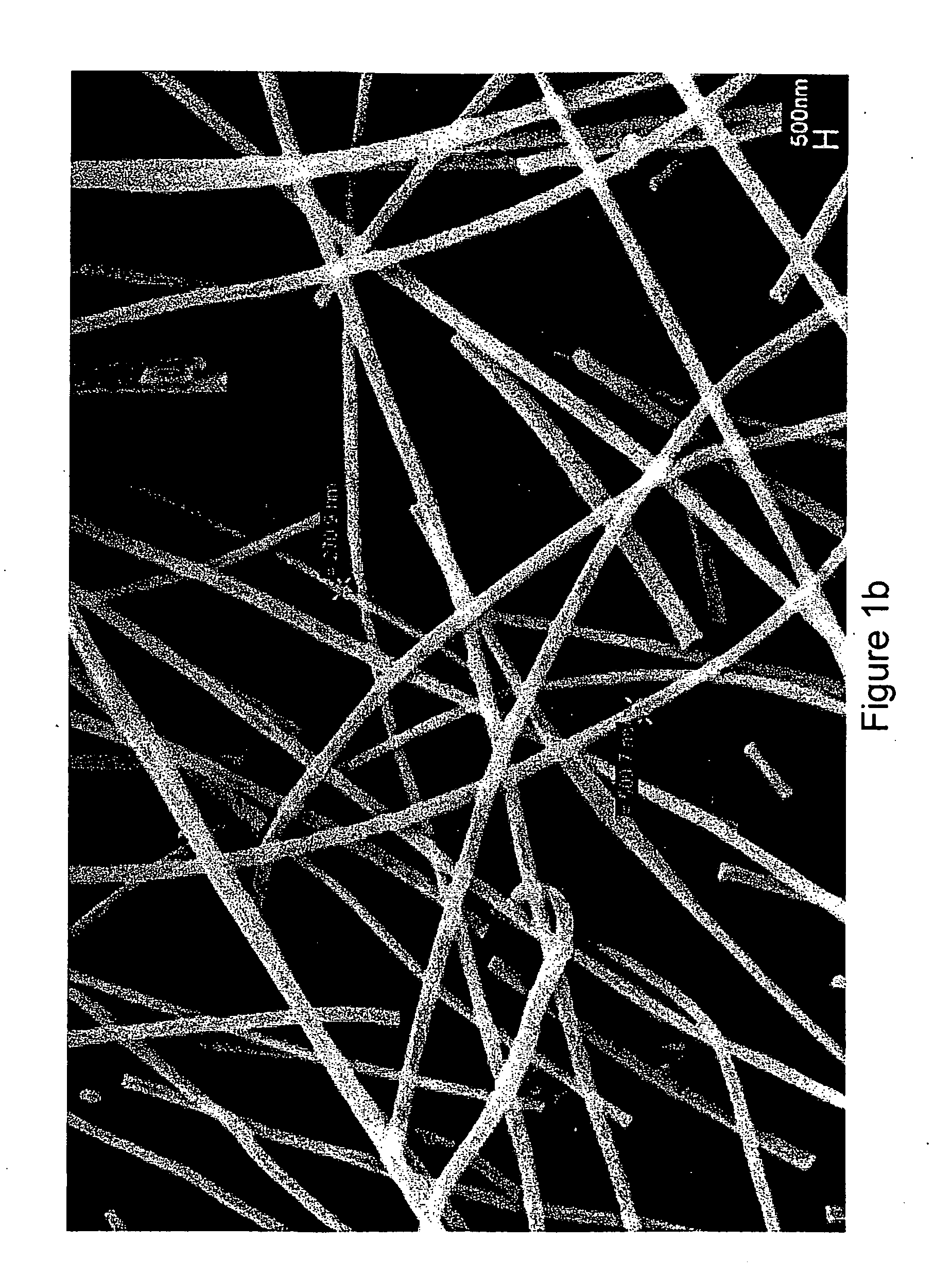 Fibers and methods relating thereto