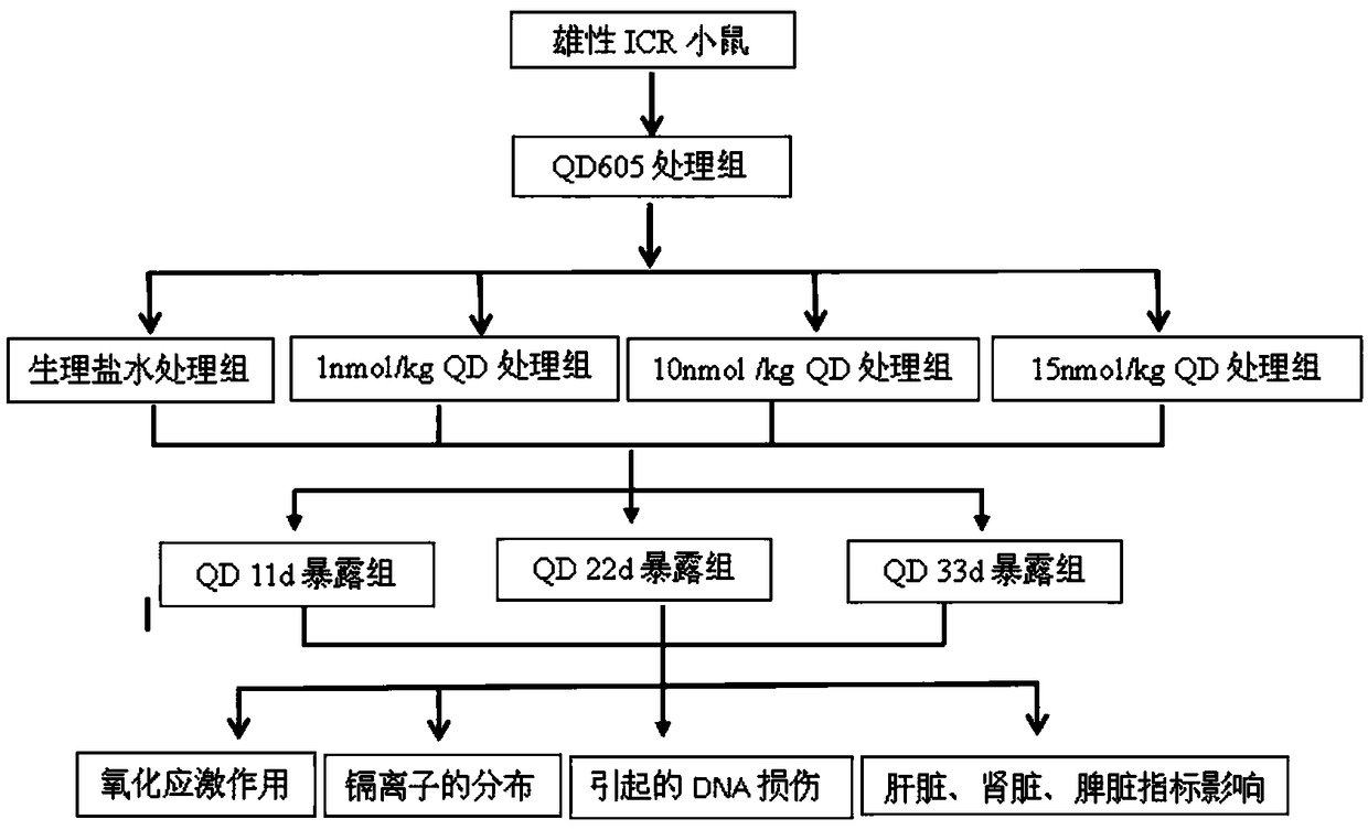 Detection method for oxidative stress functions of different organs of mice