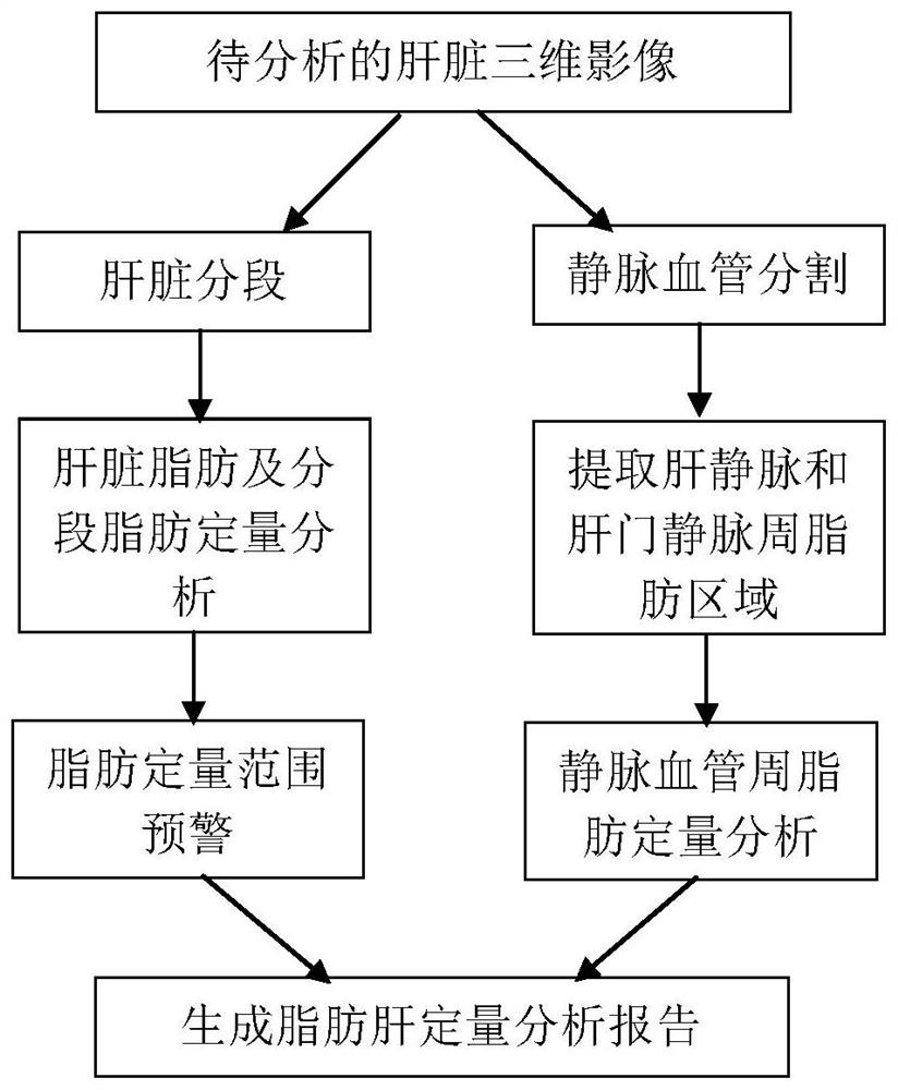 Fatty liver accurate quantitative analysis method and device, computer equipment and storage medium