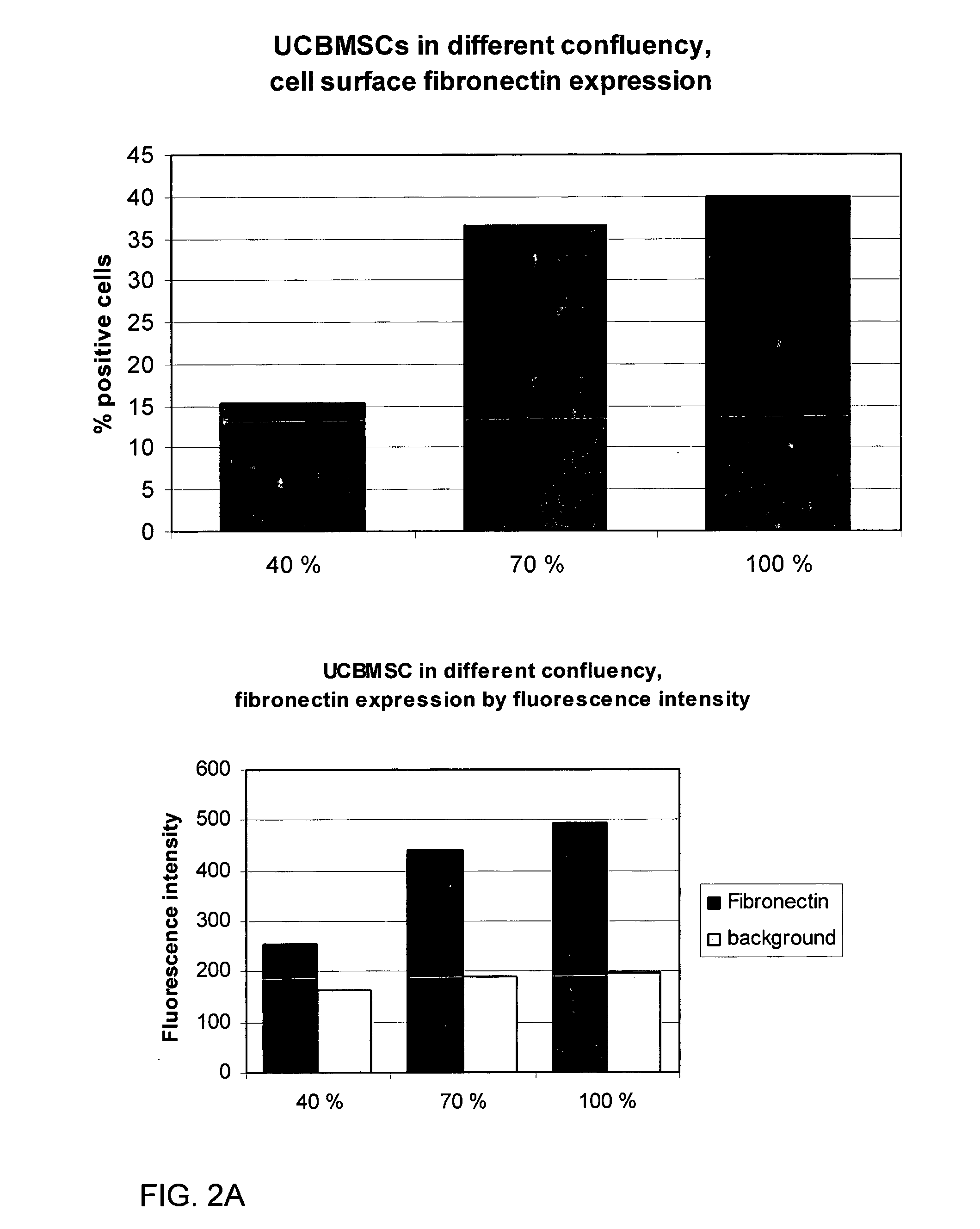 Use of a Proteolytic Enzyme for the Modification of the Cell Surface of a Stem Cell