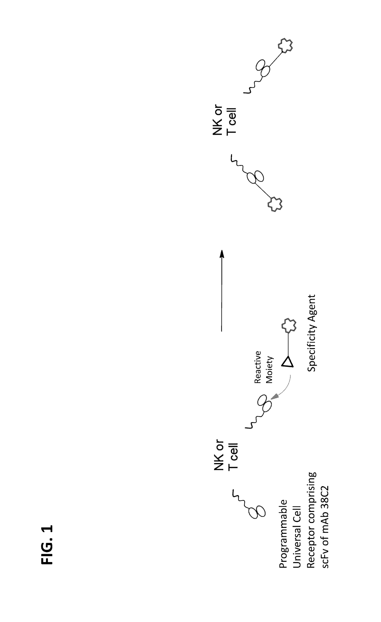 Programmable universal cell receptors and method of using the same