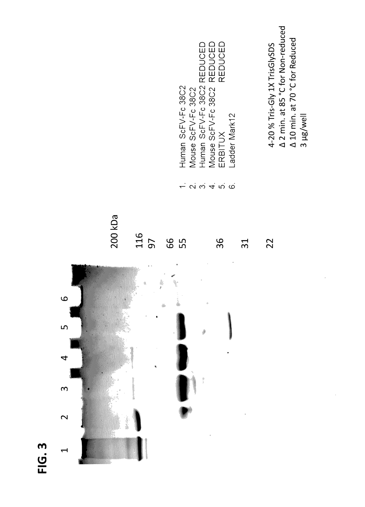 Programmable universal cell receptors and method of using the same