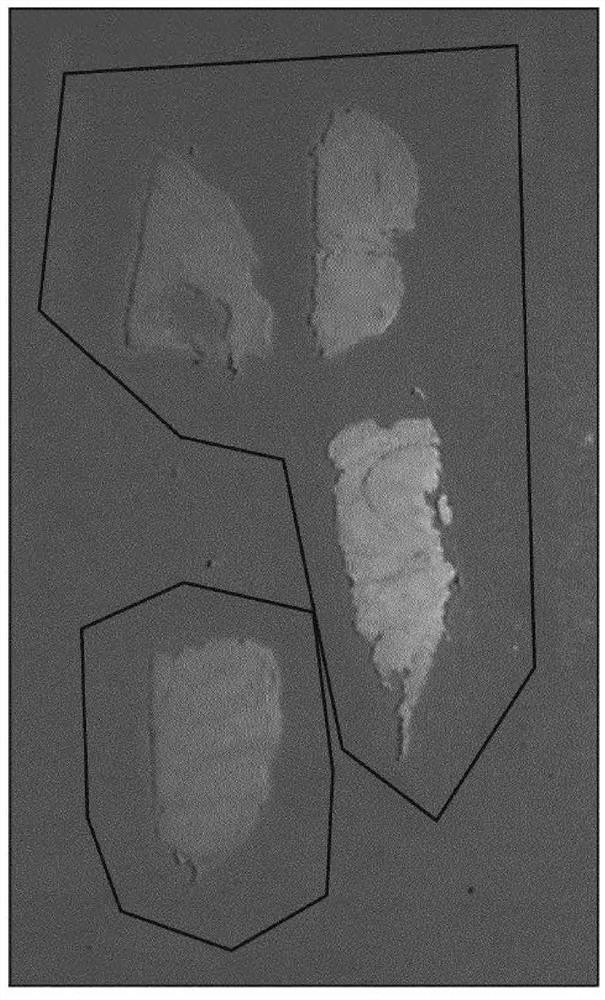 Label-free assessment of biomarker expression using vibration spectroscopy