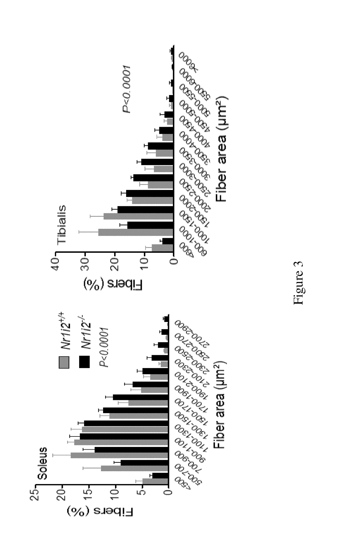 Novel therapeutic use of fgf19