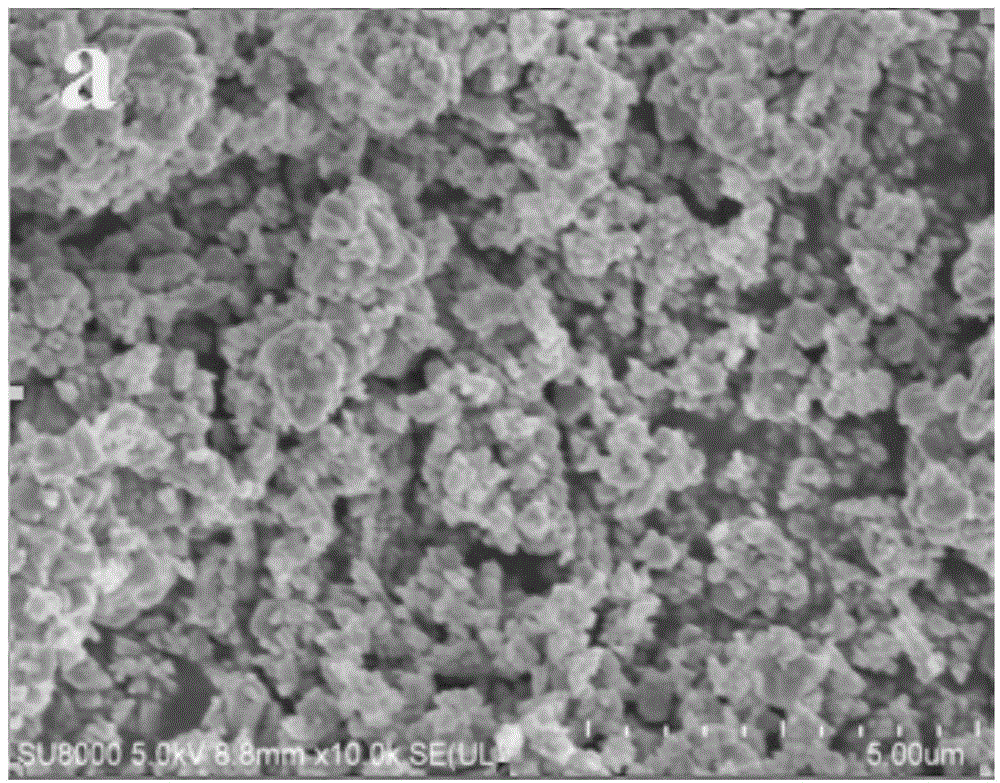 Compound photocatalyst for treating wastewater pollution as well as preparation method and application of compound photocatalyst