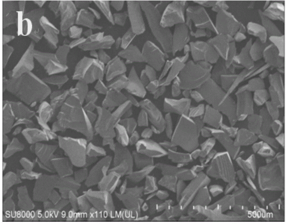 Compound photocatalyst for treating wastewater pollution as well as preparation method and application of compound photocatalyst