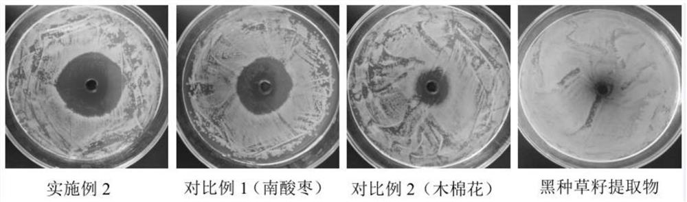 Choerospondias axillaris and dried bombax ceiba flower composition capable of inhibiting bacteria and removing body odor and preparation method thereof