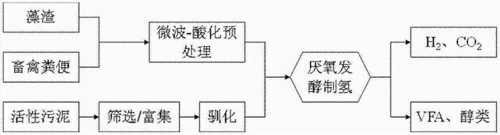Algal residue and livestock/poultry feces coupled anaerobic fermentation method for producing hydrogen