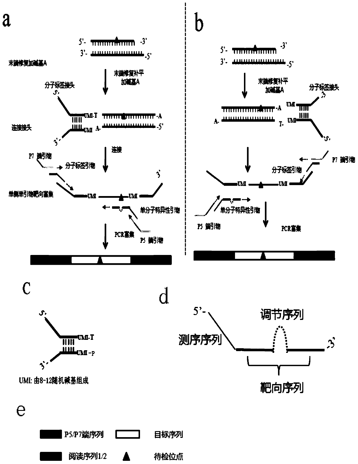 Ultra-low frequency mutant nucleic acid fragment detection method, library construction method, primer design method and reagent