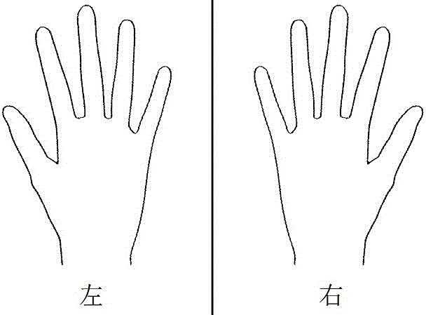Hand function evaluation method based on image processing technology