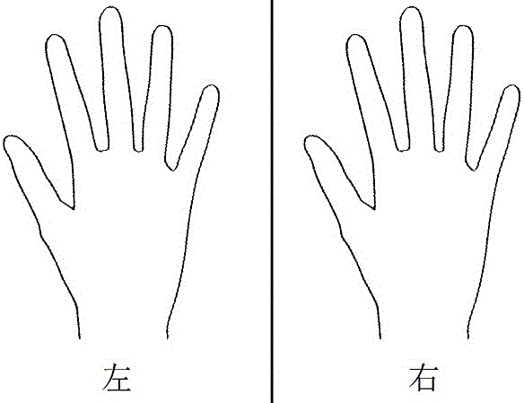 Hand function evaluation method based on image processing technology