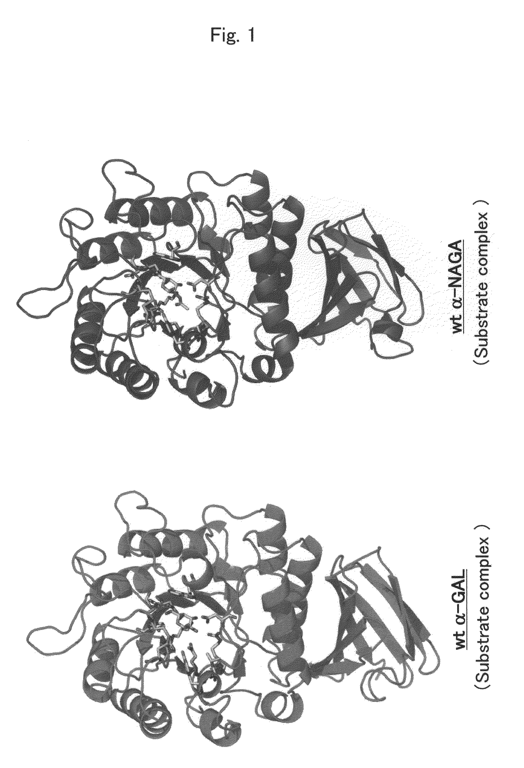 Pharmaceutical composition for enzyme replacement therapy