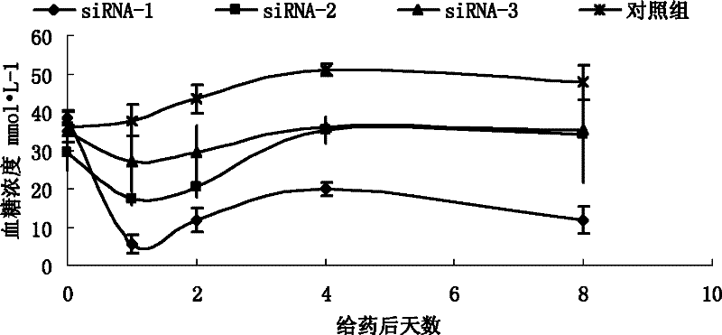 RNA interference sequences of glucagon receptor gene