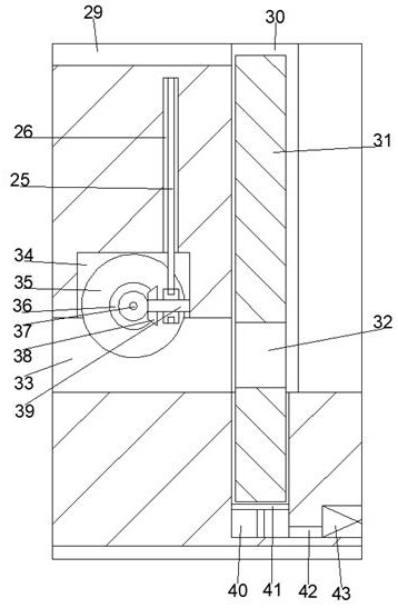 Soft fruit cleaning and drying equipment