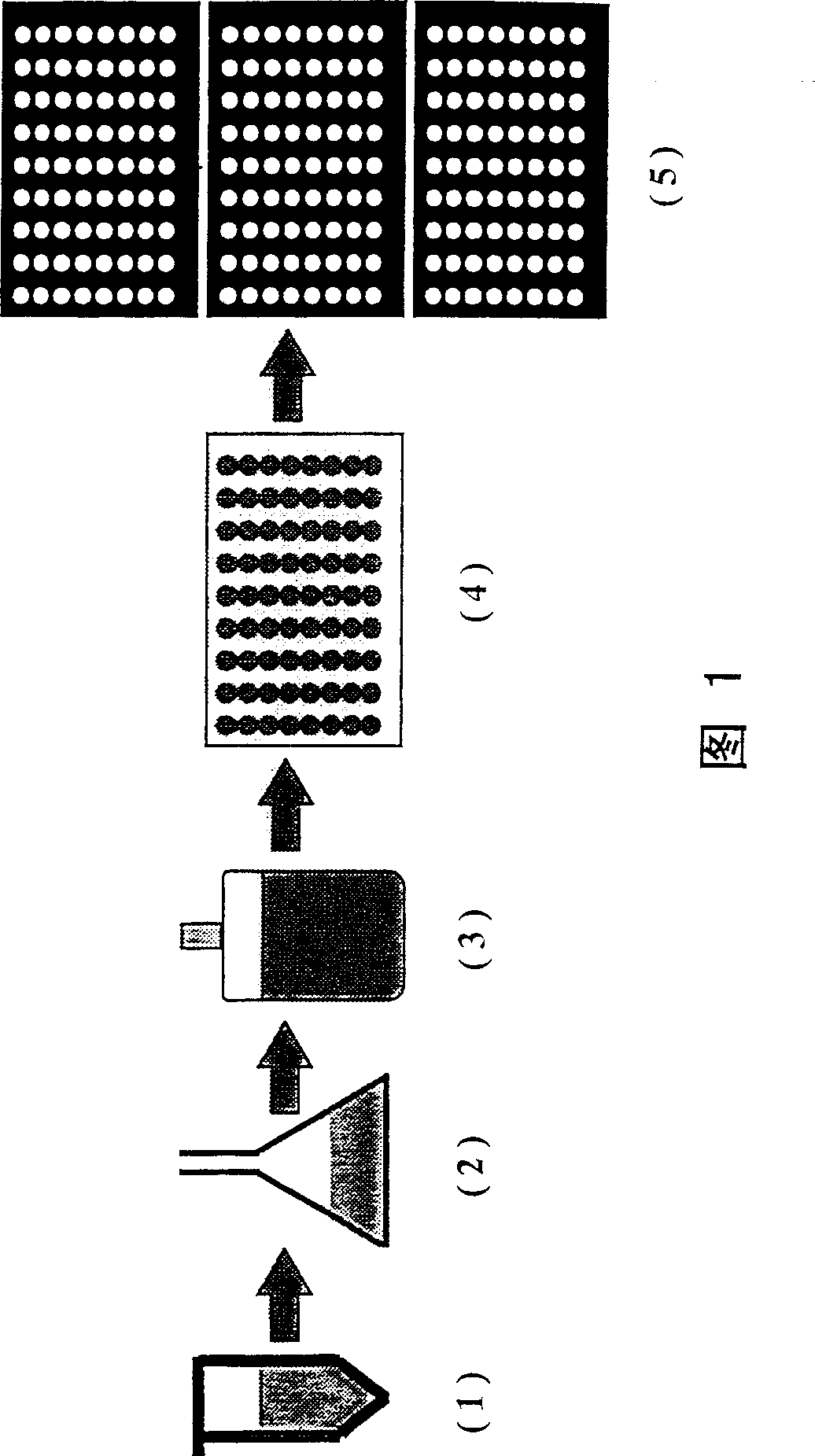 Fluorescence polarization screening method