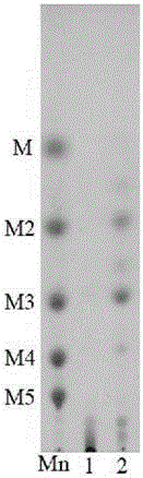 Soluble dietary fibers rich in galactomannan and preparation method of soluble dietary fibers