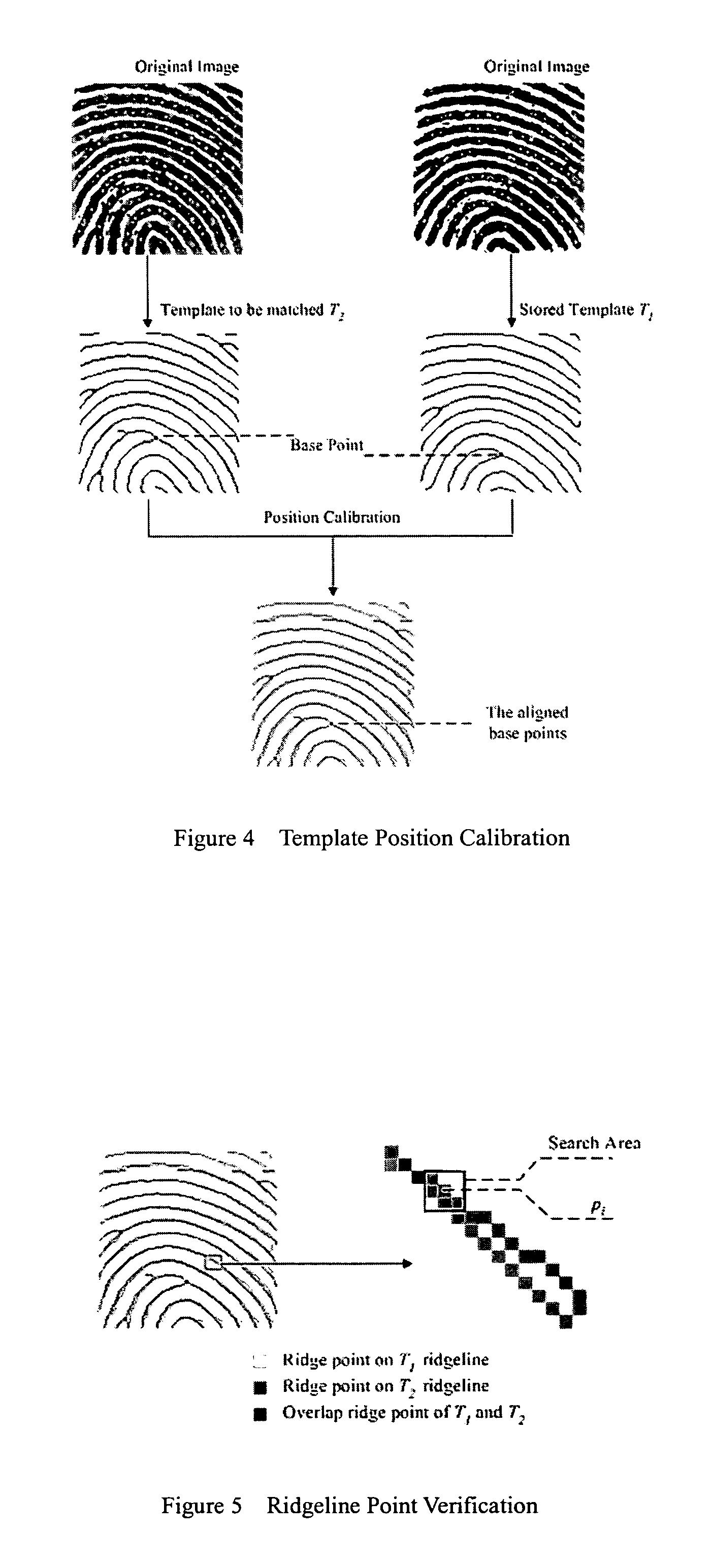 Fingerprint verification method and apparatus based on global ridgeline