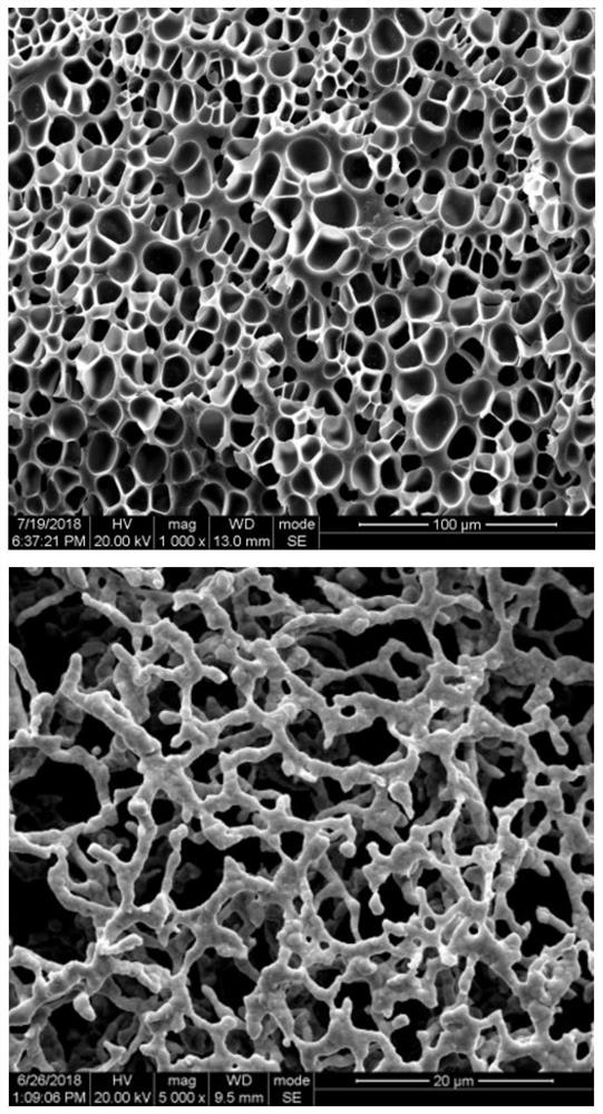 Method for preparing foam silver catalyst based on supercritical carbon dioxide foaming technology