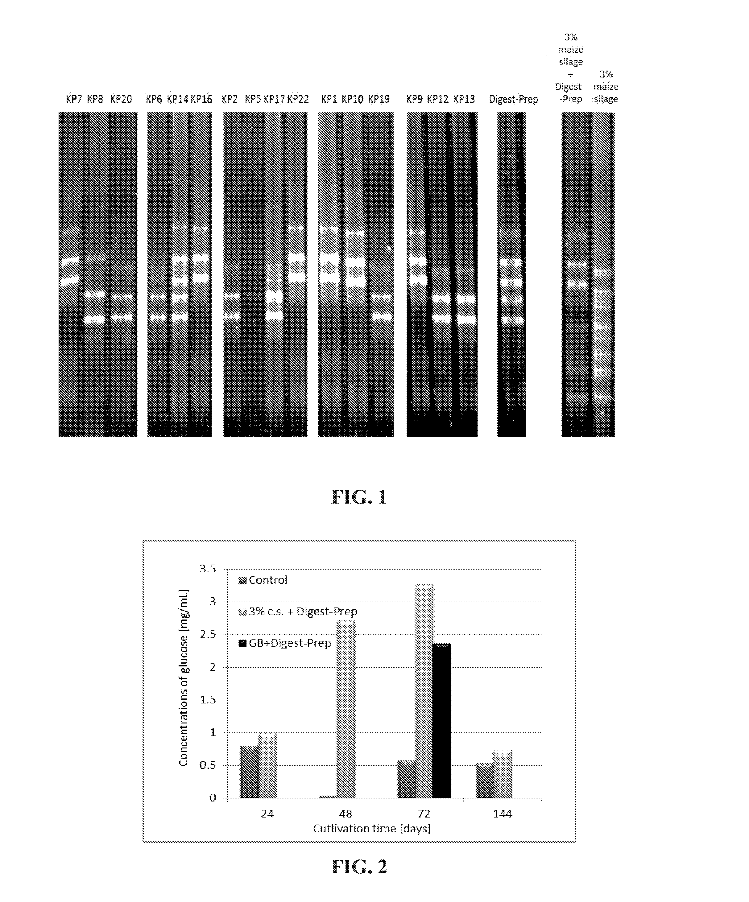 Consortium and preparation of microorganisms for catalyzing cellulose hydrolysis, preparation for methane fermentation supplementation, combination preparation, use thereof and method using the same