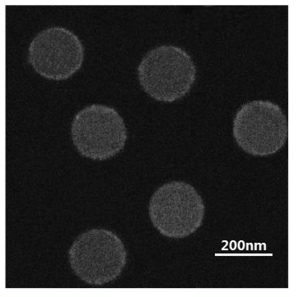 A kind of urease nanoreactor and preparation method thereof