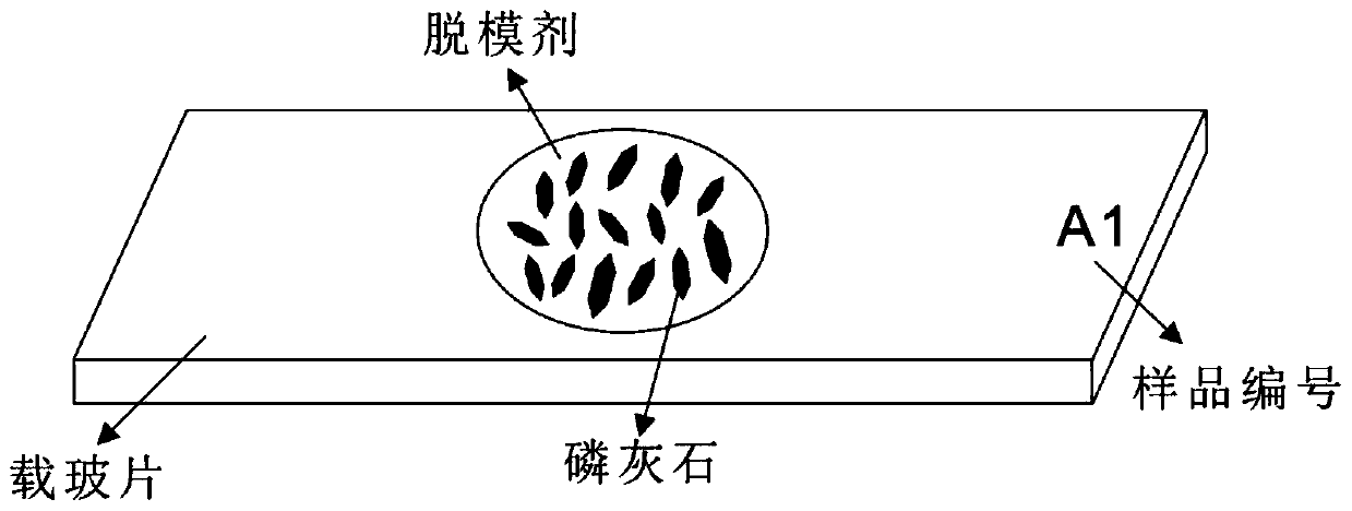 Preparation method of apatite resin sheet for external detector method