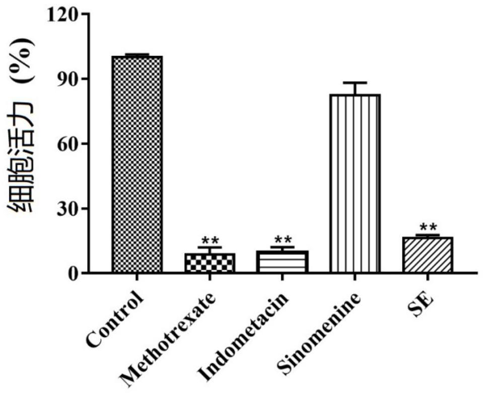 Application of schisanlactone E extracted from kadsura heteroclita in preparation of drug for resisting rheumatoid arthritis
