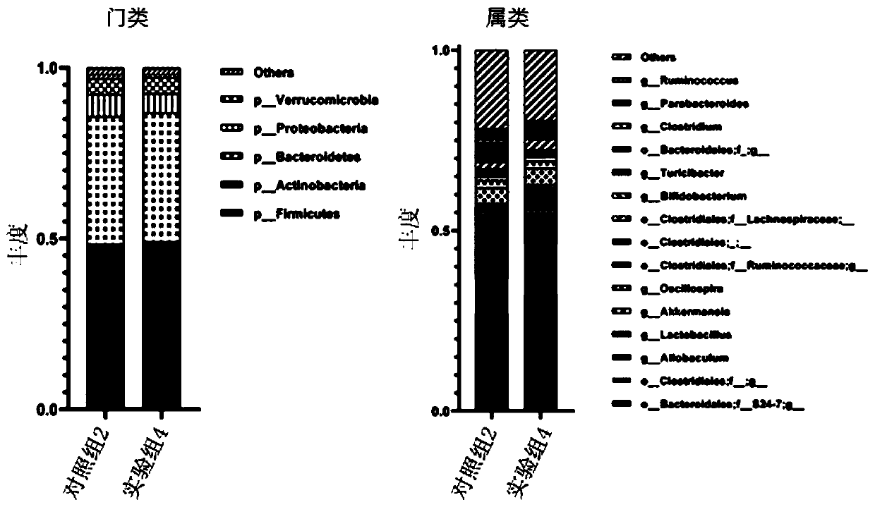 Application of Parabacteroides distasonis in prevention or treatment of obesity or related diseases thereof