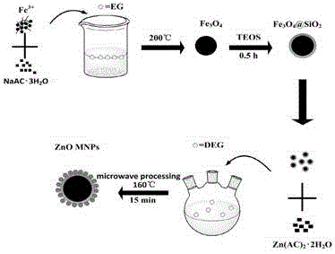 Preparation method of Fe3O4@SiO2@ZnO magnetic nano photocatalyst