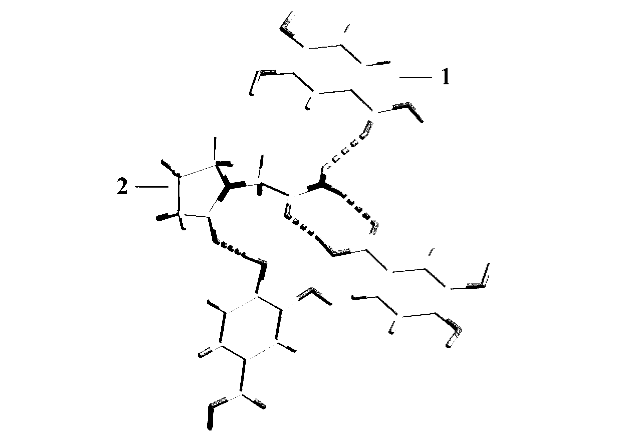 Piracetam pharmaceutical co-crystal taking 3,4-dihydroxy-benzoic acid as precursor and preparation method of piracetam pharmaceutical co-crystal