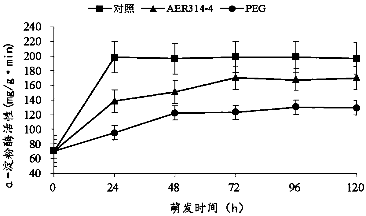 Symbiotic drought-resistance seed germination-promotion endophytic bacterium and application thereof