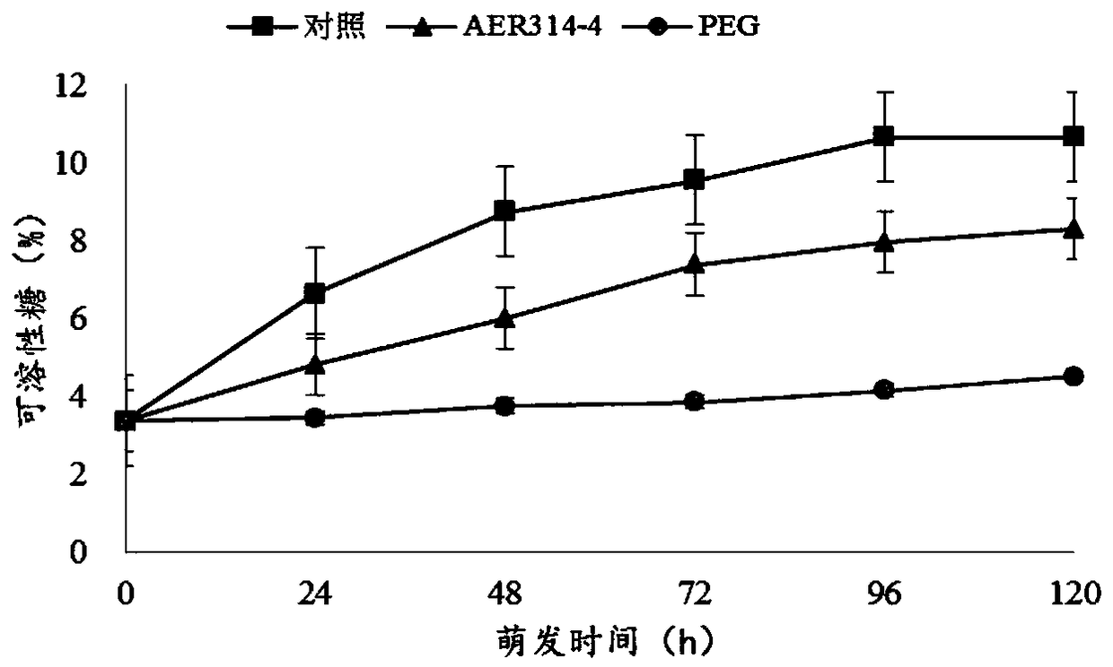 Symbiotic drought-resistance seed germination-promotion endophytic bacterium and application thereof